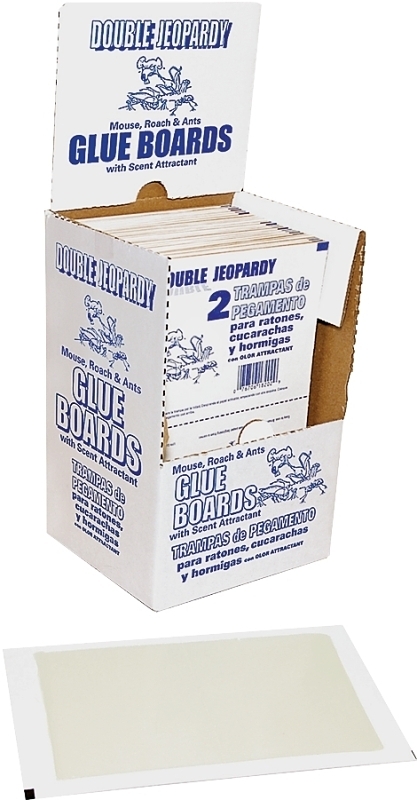 BOARD GLUE DOUBLE<br>JEPORARDY